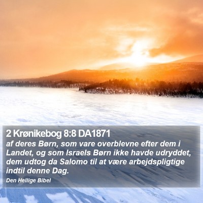 2 Krønikebog 8:8 DA1871 Bible Verse Image