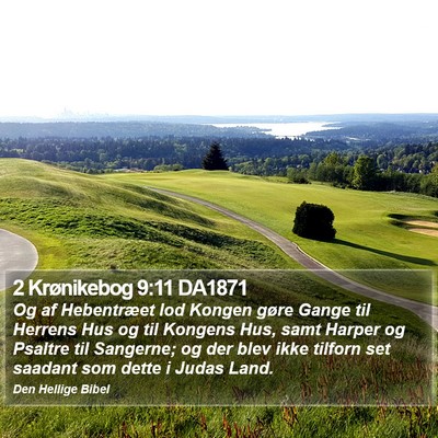 2 Krønikebog 9:11 DA1871 Bible Verse Image
