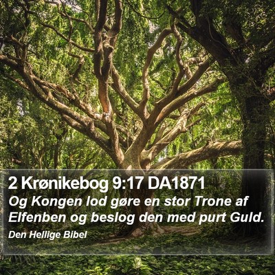 2 Krønikebog 9:17 DA1871 Bible Verse Image