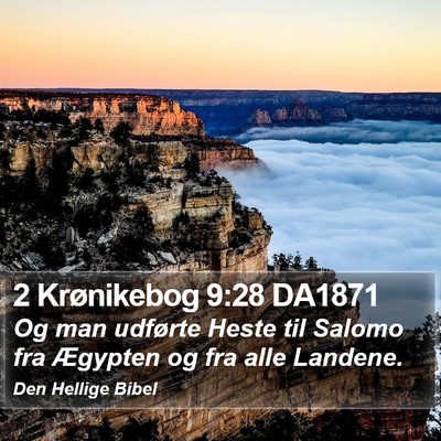 2 Krønikebog 9:28 DA1871 Bible Verse Image
