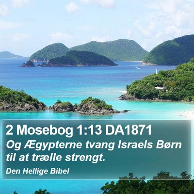 2 Mosebog 1:13 DA1871 Bible Verse Image