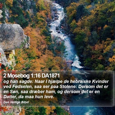 2 Mosebog 1:16 DA1871 Bible Verse Image