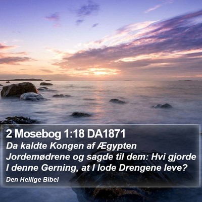 2 Mosebog 1:18 DA1871 Bible Verse Image