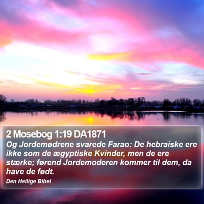 2 Mosebog 1:19 DA1871 Bible Verse Image