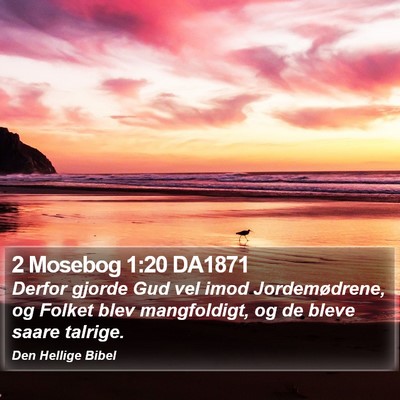 2 Mosebog 1:20 DA1871 Bible Verse Image