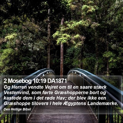 2 Mosebog 10:19 DA1871 Bible Verse Image