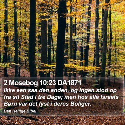 2 Mosebog 10:23 DA1871 Bible Verse Image