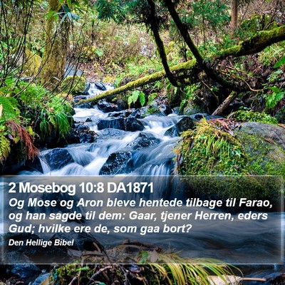 2 Mosebog 10:8 DA1871 Bible Verse Image