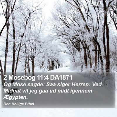 2 Mosebog 11:4 DA1871 Bible Verse Image