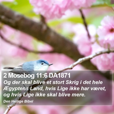 2 Mosebog 11:6 DA1871 Bible Verse Image