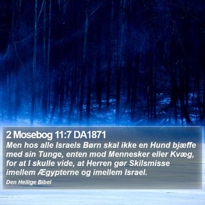 2 Mosebog 11:7 DA1871 Bible Verse Image