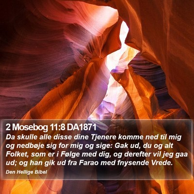 2 Mosebog 11:8 DA1871 Bible Verse Image