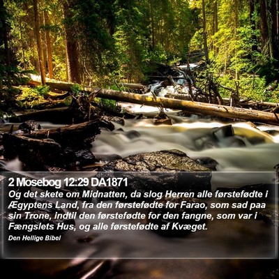 2 Mosebog 12:29 DA1871 Bible Verse Image