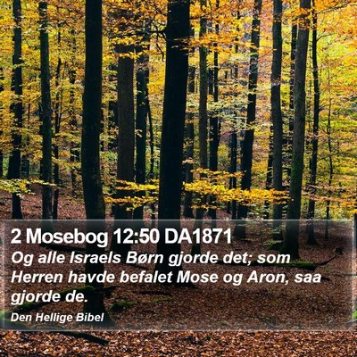 2 Mosebog 12:50 DA1871 Bible Verse Image