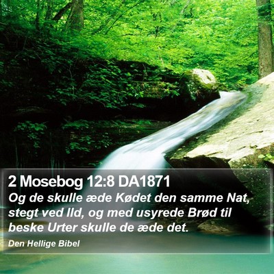 2 Mosebog 12:8 DA1871 Bible Verse Image