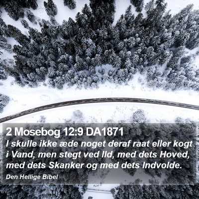 2 Mosebog 12:9 DA1871 Bible Verse Image