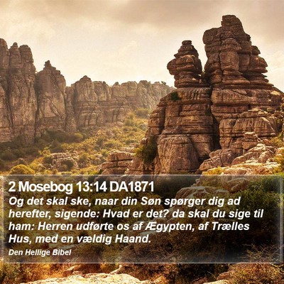 2 Mosebog 13:14 DA1871 Bible Verse Image