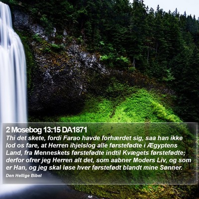 2 Mosebog 13:15 DA1871 Bible Verse Image