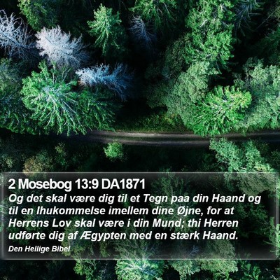 2 Mosebog 13:9 DA1871 Bible Verse Image