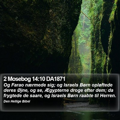 2 Mosebog 14:10 DA1871 Bible Verse Image