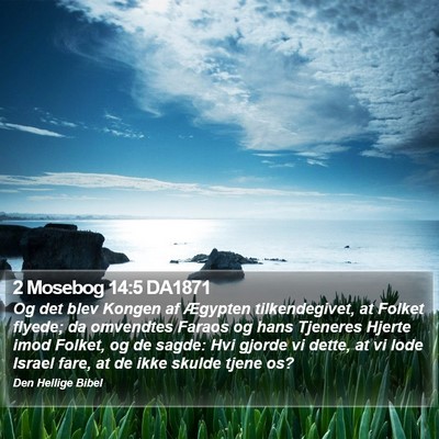 2 Mosebog 14:5 DA1871 Bible Verse Image