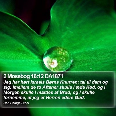 2 Mosebog 16:12 DA1871 Bible Verse Image