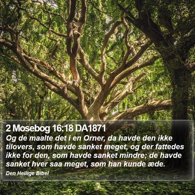 2 Mosebog 16:18 DA1871 Bible Verse Image