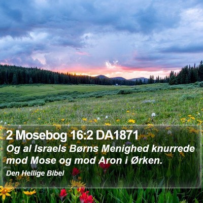 2 Mosebog 16:2 DA1871 Bible Verse Image