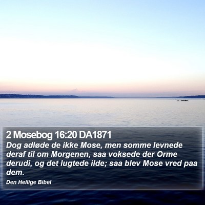 2 Mosebog 16:20 DA1871 Bible Verse Image