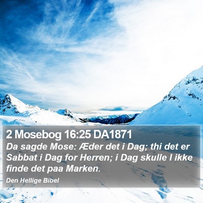 2 Mosebog 16:25 DA1871 Bible Verse Image