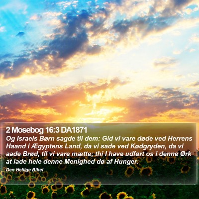 2 Mosebog 16:3 DA1871 Bible Verse Image