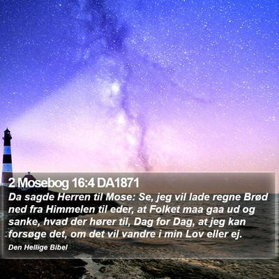 2 Mosebog 16:4 DA1871 Bible Verse Image