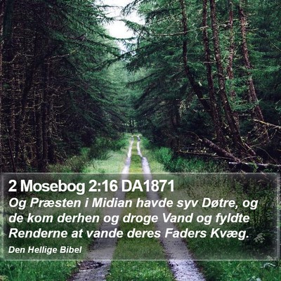 2 Mosebog 2:16 DA1871 Bible Verse Image