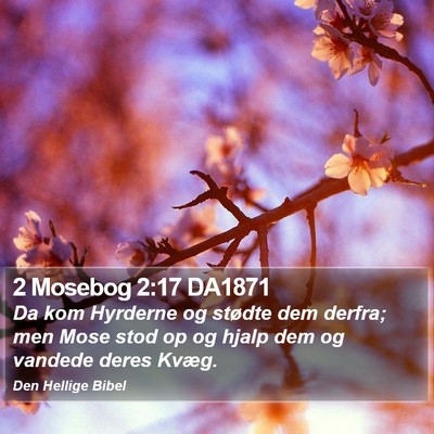 2 Mosebog 2:17 DA1871 Bible Verse Image