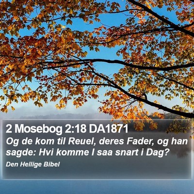 2 Mosebog 2:18 DA1871 Bible Verse Image