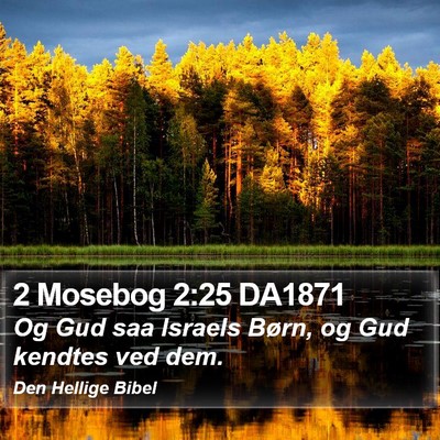 2 Mosebog 2:25 DA1871 Bible Verse Image