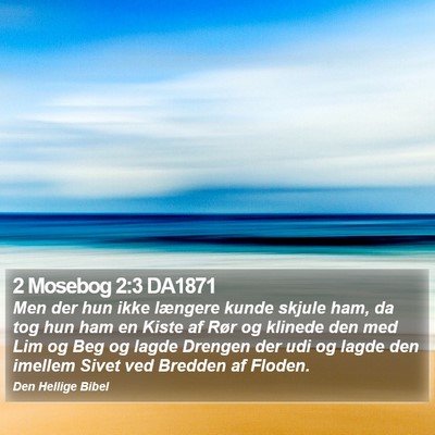 2 Mosebog 2:3 DA1871 Bible Verse Image