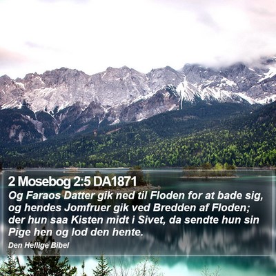 2 Mosebog 2:5 DA1871 Bible Verse Image