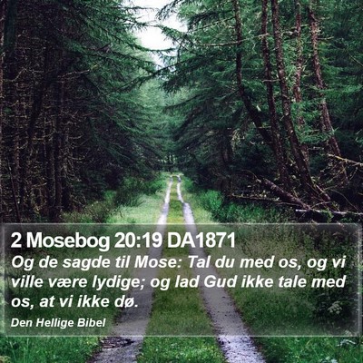 2 Mosebog 20:19 DA1871 Bible Verse Image