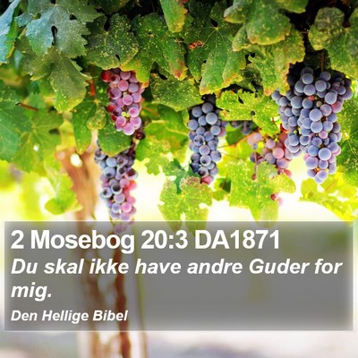 2 Mosebog 20:3 DA1871 Bible Verse Image