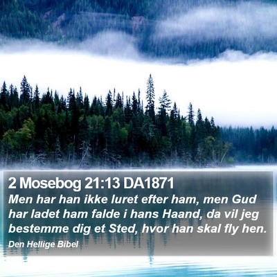 2 Mosebog 21:13 DA1871 Bible Verse Image