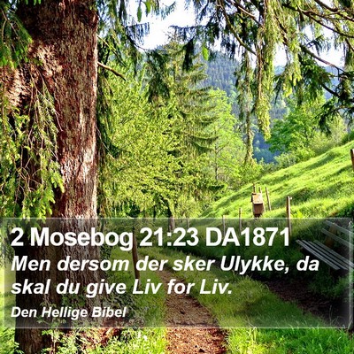 2 Mosebog 21:23 DA1871 Bible Verse Image