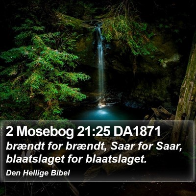 2 Mosebog 21:25 DA1871 Bible Verse Image