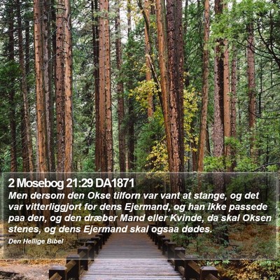 2 Mosebog 21:29 DA1871 Bible Verse Image