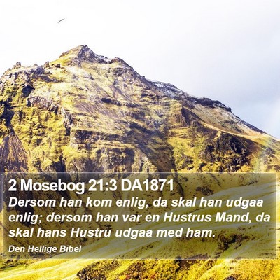 2 Mosebog 21:3 DA1871 Bible Verse Image