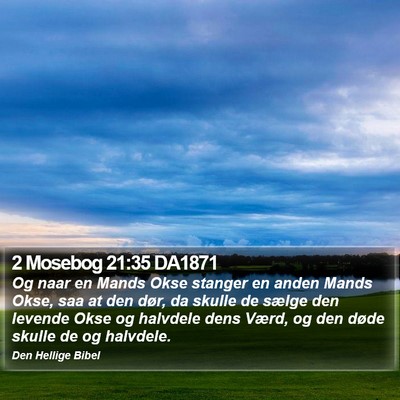 2 Mosebog 21:35 DA1871 Bible Verse Image