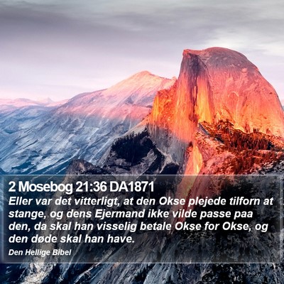 2 Mosebog 21:36 DA1871 Bible Verse Image