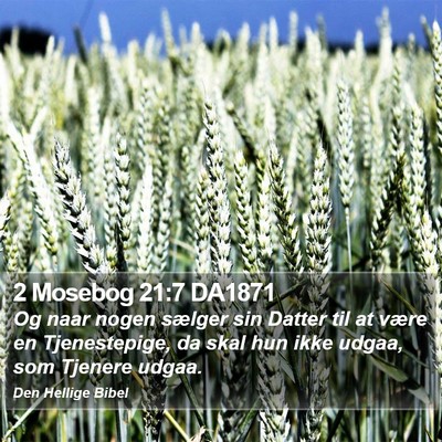 2 Mosebog 21:7 DA1871 Bible Verse Image