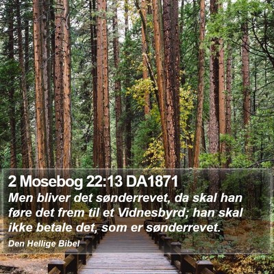 2 Mosebog 22:13 DA1871 Bible Verse Image