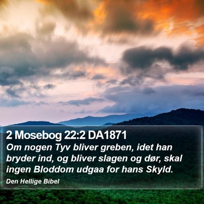 2 Mosebog 22:2 DA1871 Bible Verse Image